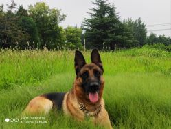 -米莱摄影写真(五大道别墅店)