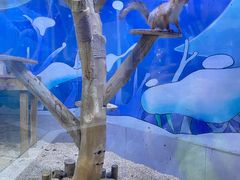 -海合安青岛极地海洋公园