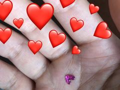 -大家乐(佛山南海店)