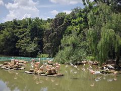 -宁波野生动物园