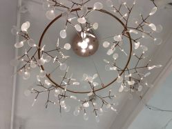 -潘多拉Hairsalon