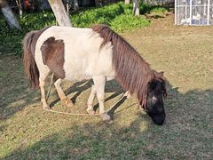 -南山风景名胜区