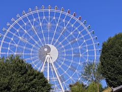-特克斯八卦城