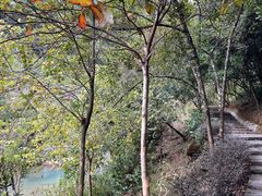 -广州白江湖森林公园