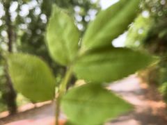 -南京金牛湖风景区