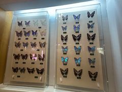 -陕西自然博物馆