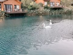 -杭州开元森泊度假乐园