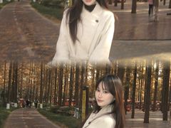 -黄海国家森林公园