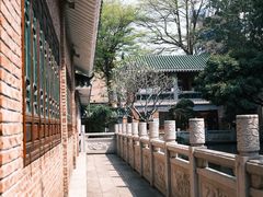 -名树园