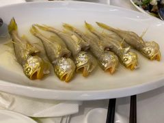 -花城苑广府菜(侨鑫店)