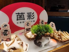 -菌彩云南野生菌火锅(新亚洲店)