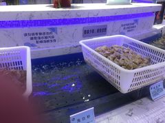 水产区-澜悦港海鲜体验主题餐厅