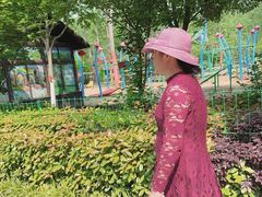 -合肥滨湖国家森林公园