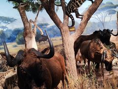 -陕西自然博物馆