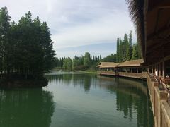 -秀丽东方