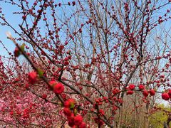 -大兴滨河森林公园