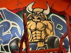 -KingBull私教健身&格斗订制(龙井商业中心店)