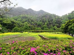 -雁荡山风景名胜区