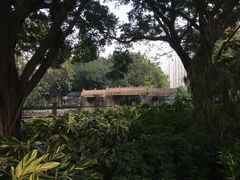 -晓港公园
