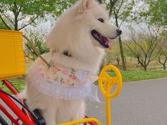 -花开海上生态园