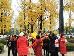 -百林公园-两江幸福广场
