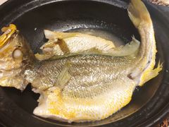 招牌深海鲜黄鱼-锦園(伊势丹美食城店)
