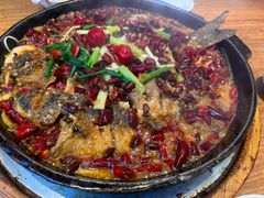 -老板恋上鱼(恒隆广场店)