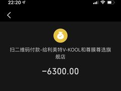 -利美特•威固V-KOOL双膜(杨浦授权店)