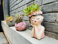 -庐灶江南·江南菜·四合院Bistro(东直门雍和宫·原华侨宾馆店)