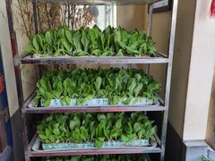 -福照楼汽锅鸡·云南菜(护国路店)