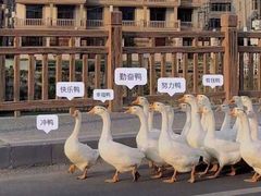 -正宗陕西肉夹馍(红荔店)