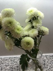 -HEYAN荷妍专业脱毛连锁机构