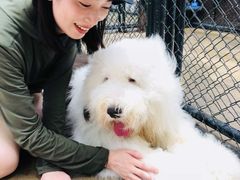 -TrueLove @ Neverland (Husky Cafe)