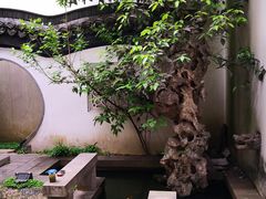-光裕书厅·评弹茶馆·剧场(观前街店)