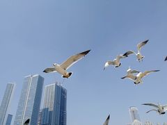 -马栏河运动公园