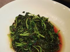 -骏莱海鲜鱼港(五角场店)