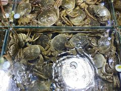 -王四营海鲜市场