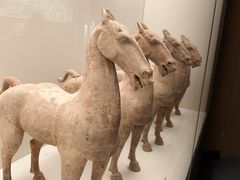 -中国港口博物馆