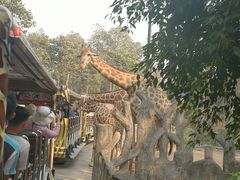 -清迈夜间动物园