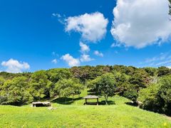 -沈阳森林动物园