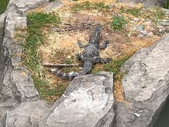 -南昌动物园