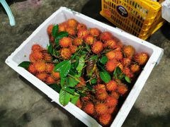 -林旺社区水果市场