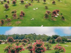 -江苏三台山国家森林公园