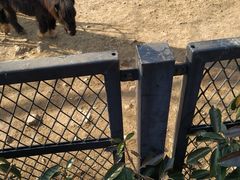 -无锡动物园·太湖欢乐园