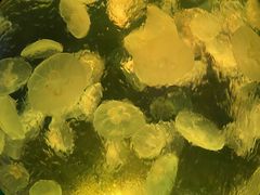 -正佳极地海洋世界