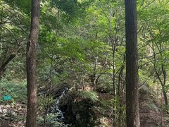 -本溪汤沟绿石谷森林公园