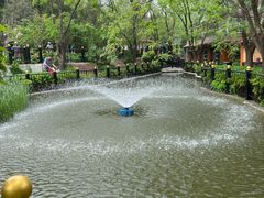 -太阳宫公园