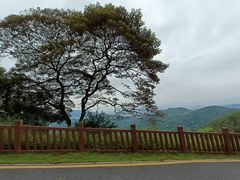 -黄埔油麻山森林公园
