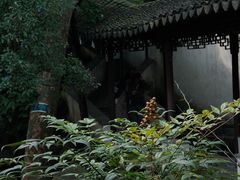 -留园