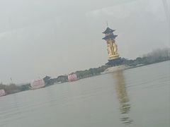 -溱湖国家湿地公园